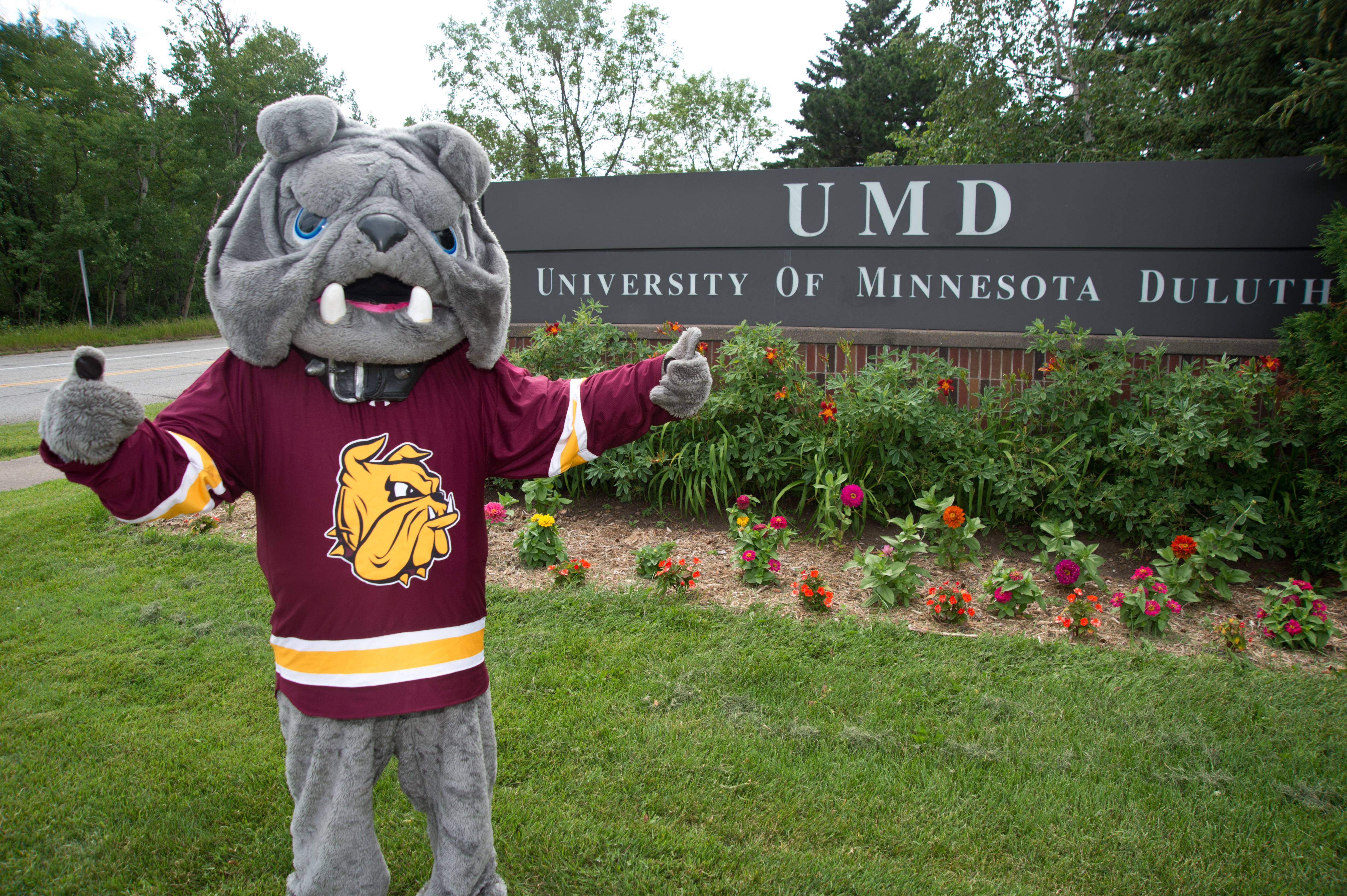 Champ in front of a UMD sign outside