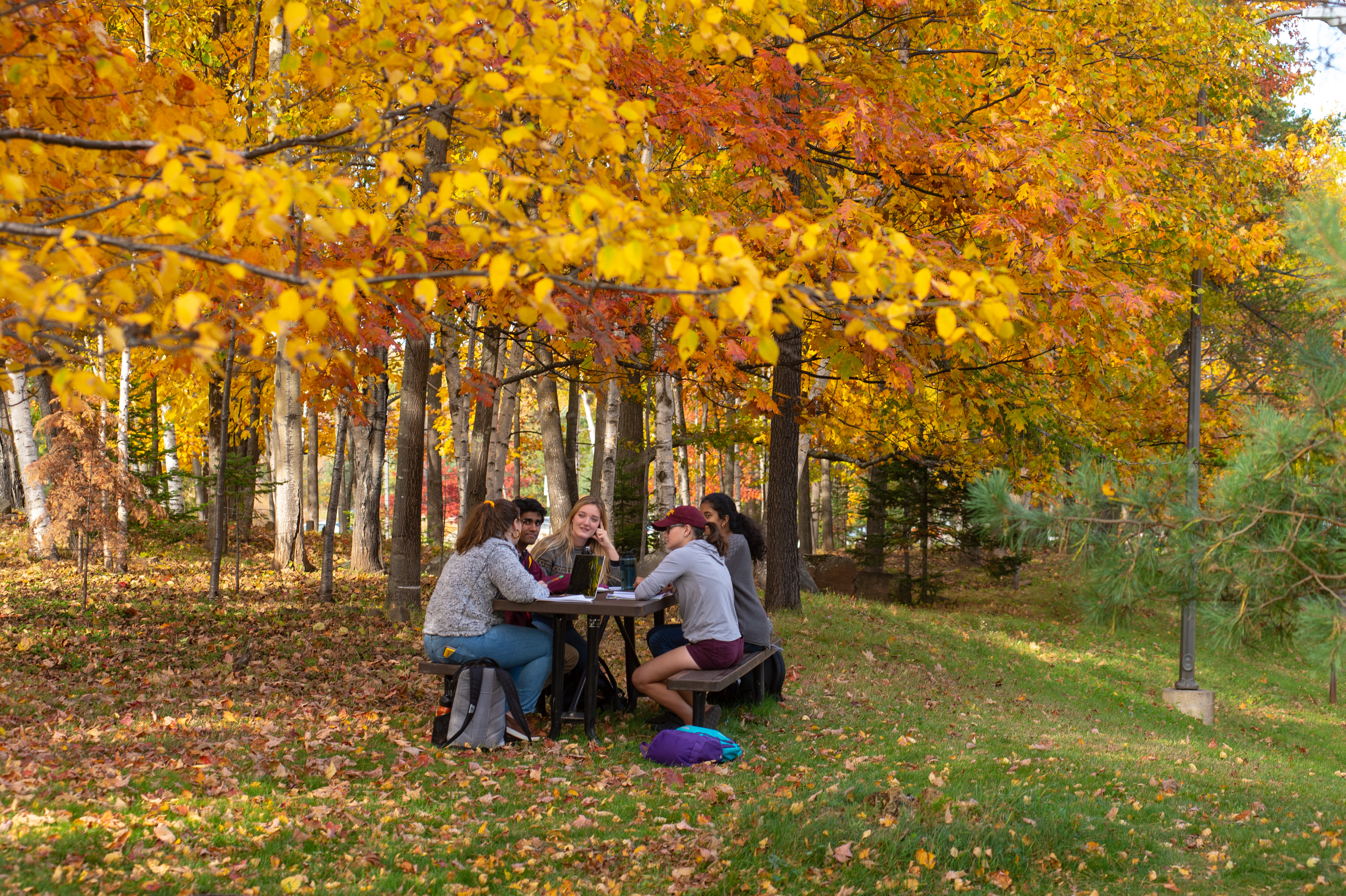 Students talking outside at a table
