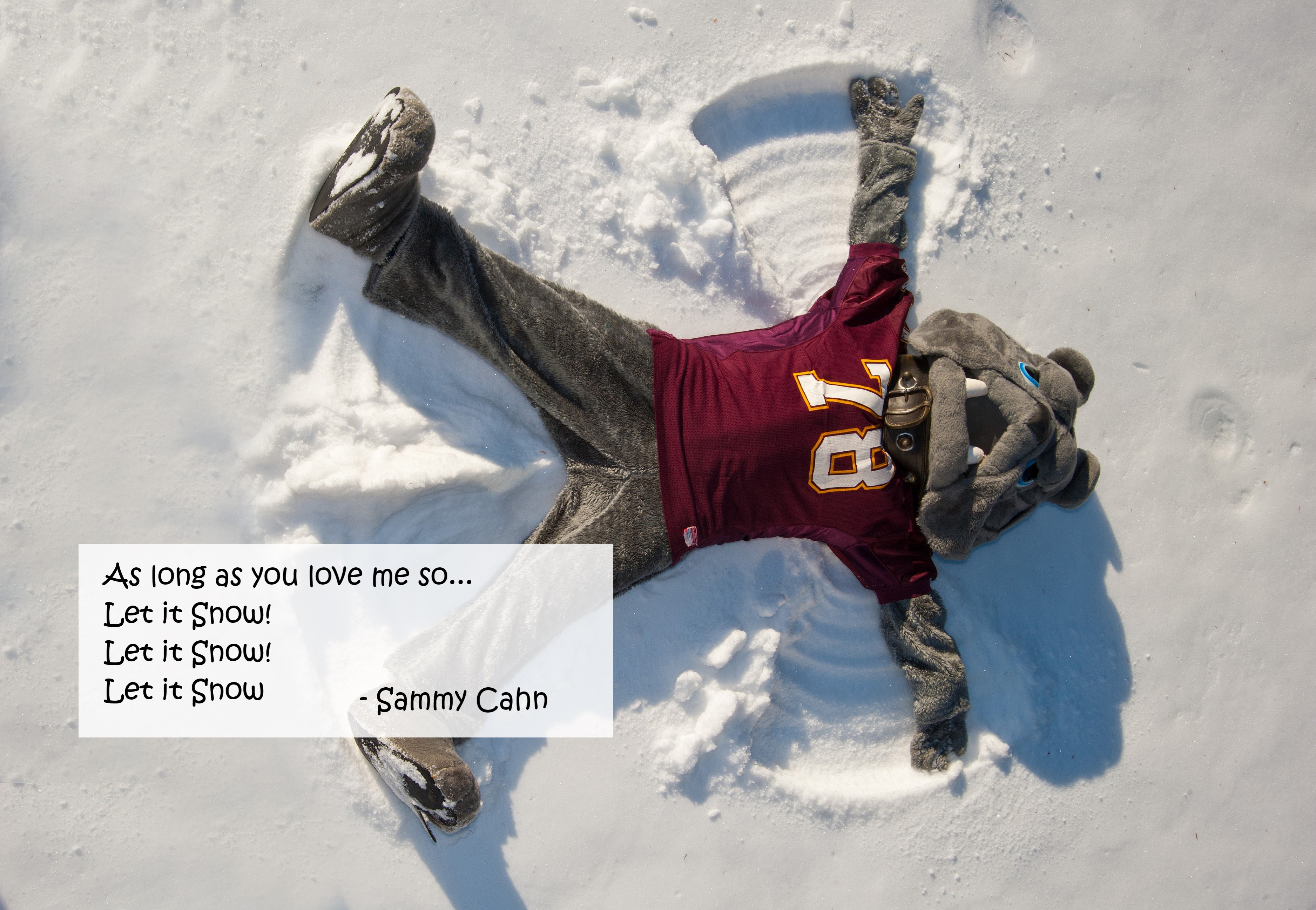 Champ making a snow angel with the lyrics to "Let it Snow!" by Sammy Cahn