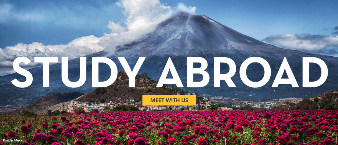 Study Abroad Graphic with text and an image of a mountain behind flowers