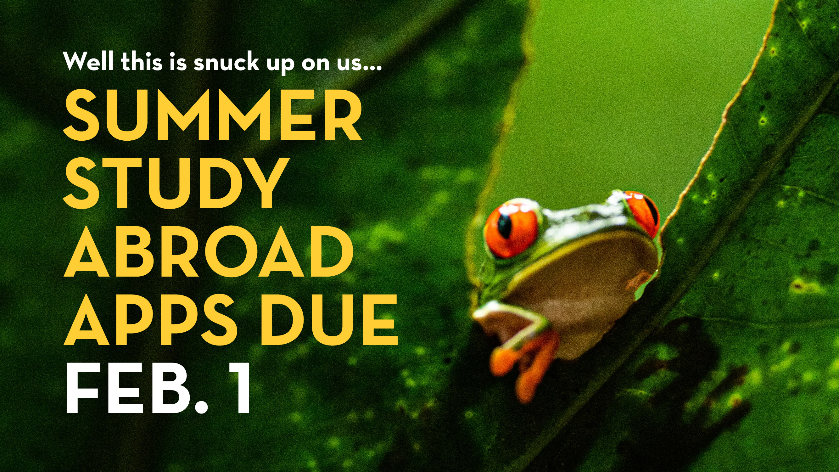 Study Aboard Graphic with a frog that says "Summer Study Abroad Apps Due Feb 1" 